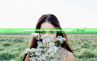 可查看女生内部的手游体验与趣味攻略分享完整指南